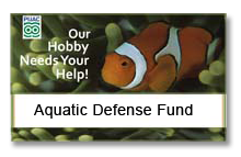 tropical fish wholesale and