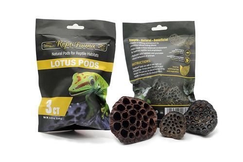 picture of ReptiFauna™ Lotus Pods 3 Ct                                                                          Nelumbo nucifera